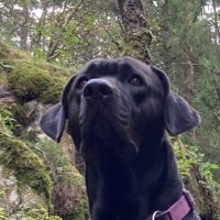 Gösta Broholmer 🇺🇦 (@gostabroholmer) 's Twitter Profile Photo Gösta Broholmer 🇺🇦 (@gostabroholmer) 's Twitter Profile Photo