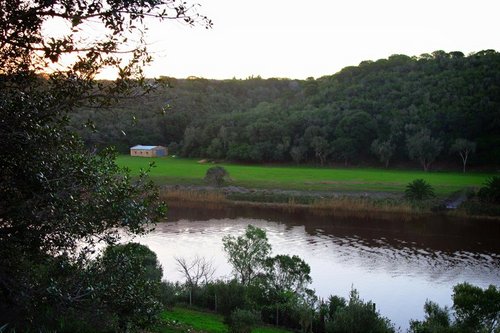 WildOlive1's profile picture. an organic person who truly cares