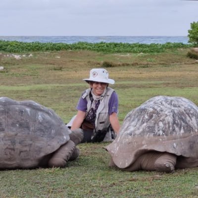 Ecologist interested in species interactions and deciphering how they are disrupted by global change + islandholic @IMEDEA_UIB_CSIC @Cambio2100 @CSICBalears