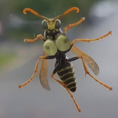 mhmyhyhyh's profile picture. you’ve already lost the war