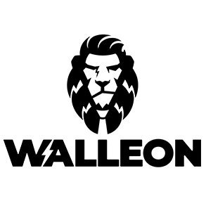 Walleon is a new generation smart wallet.