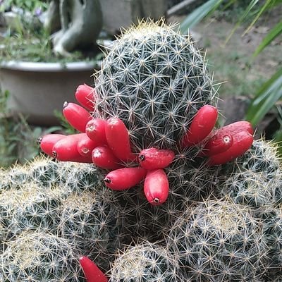 Guadalu31578065's profile picture. 