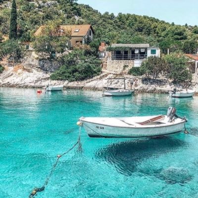 Some1_knew's profile picture. 