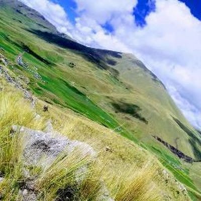 CjrWamani's profile picture. Un