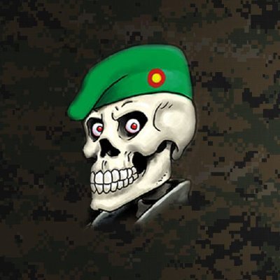 Somos un Clan serio de Simulacion Militar que intenta acercarse lo más posible a la realidad con nuestras maniobras y misiones oficiales.