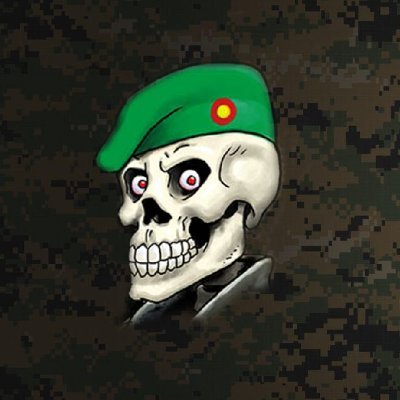 Somos un Clan serio de Simulacion Militar que intenta acercarse lo más posible a la realidad con nuestras maniobras y misiones oficiales.