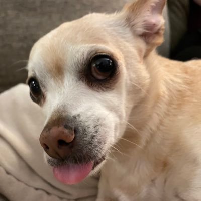 AtomicAj74's profile picture. 