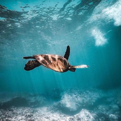 bhaskar360s's profile picture. Nothing else matters
