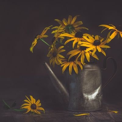 yonghangharka_'s profile picture. 