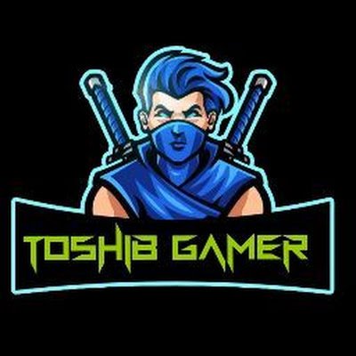 GamerToshib's profile picture. 