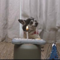 meeble (@marblesthoughts) 's Twitter Profile