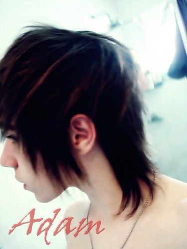 me segue que eu te  sigo de volta--follow me I'll follow back---meu orkut----orkut  http://t.co/eadAOHLzmc