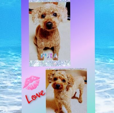 Vic_fortune_'s profile picture. 