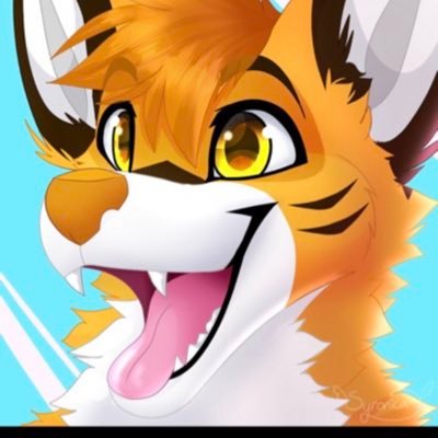 Echo_Fox97 Profile Picture