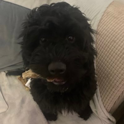 soopod's profile picture. SENDCO (All opinions are my own)