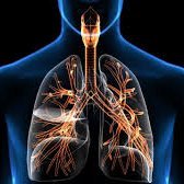 Journal of Clinical Respiratory