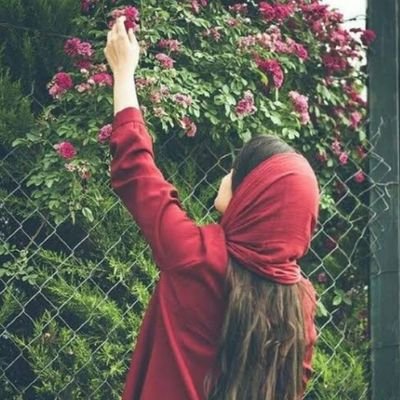 Dr Maryam Sajjad Maryams Twitter