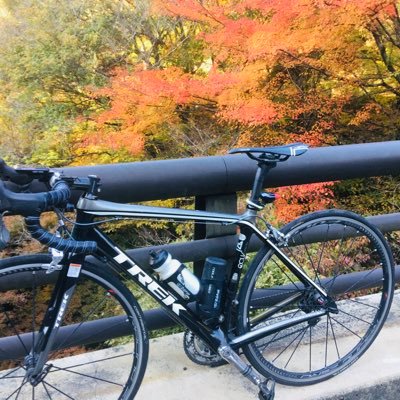 LmxkiDgDAhkGC6j's profile picture. 自転車🚴‍♀️大好き❤   ヨットはレーザー　470  クルーザーも  株大好き❤個別株、インデックス　米国株🇺🇸も