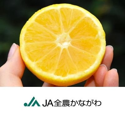 JA全農かながわの公式アカウントです。「湘南ゴールド」「はるみ」「やまゆりポーク」など神奈川の食と農に関する情報発信をしていきます!ソーシャルメディアポリシーはこちら➡https://t.co/oaKlfwIFIJ