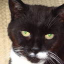 Maxine Davison - @MaxineDavison1 - Twitter