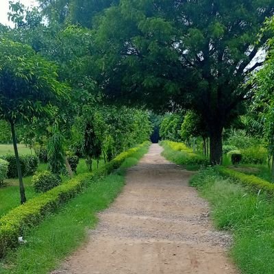 sumitup12882087's profile picture. My forgetness