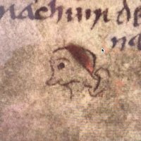 David McCay (@davidmccay11) 's Twitter Profile