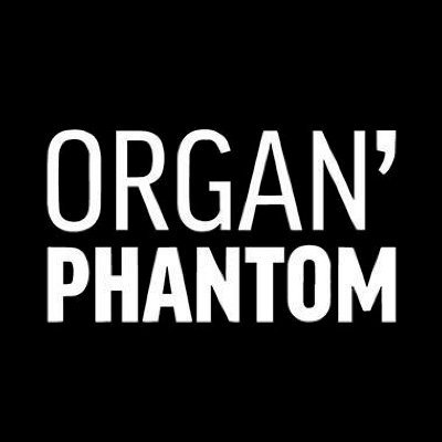 Organ'Phantom is an association which promotes and organises concerts about current musical trends essentially of independent labels