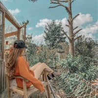 Ware Maci ❤️ Memecoin (@waremaci) 's Twitter Profile