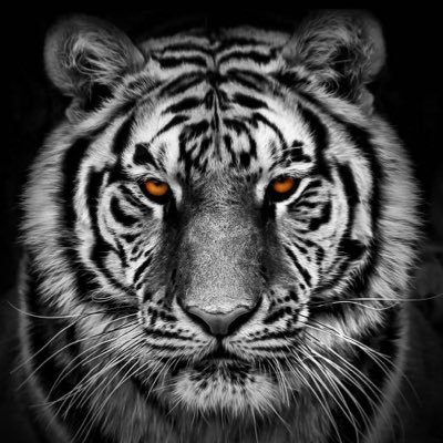 ChrisT_109's profile picture. 