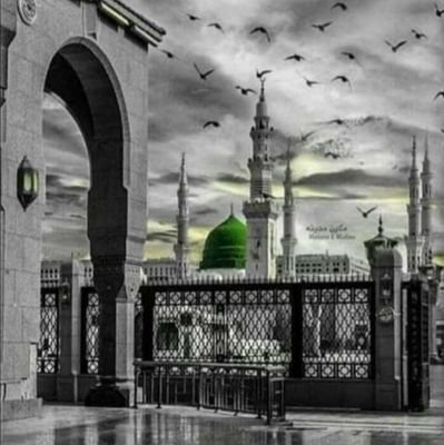 |Studying at Sir Syed Scholars College Wah Cantt| |social media activist #CyberForceMWL| |Team MSM @MSMSistersPak | |love Sufism| |Rumi's lover|