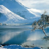 rfg222's profile picture. 