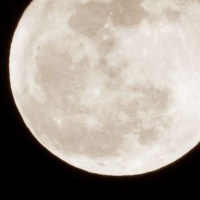 wolfnomark's profile picture. 嵐を呼ぶエンジニア