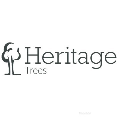 Arboricultural Services - Tree Management Commercial and Domestic - Tel: 01895 443688 Email: info@heritagetreesltd.co.uk