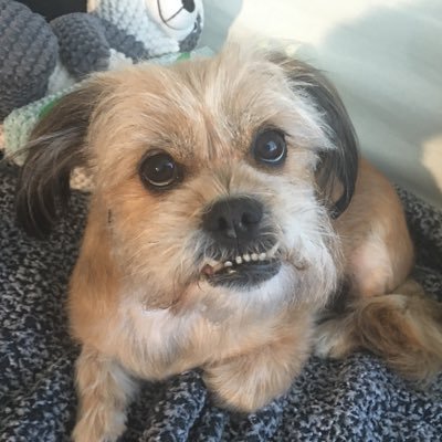 tgif67's profile picture. 