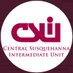 CSIU - Career Readiness (@csiucareerready) Twitter profile photo CSIU - Career Readiness (@csiucareerready) Twitter profile photo