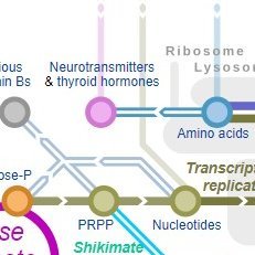 HEYKEL1's profile picture. Scientist