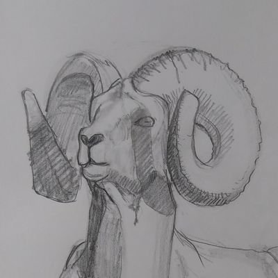 梶田梯郎さんのプロフィール画像