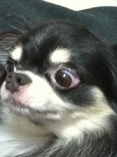 HAL_BLACK's profile picture. ＣＧアニメーターやってます。
Reservoir Dogs大好き