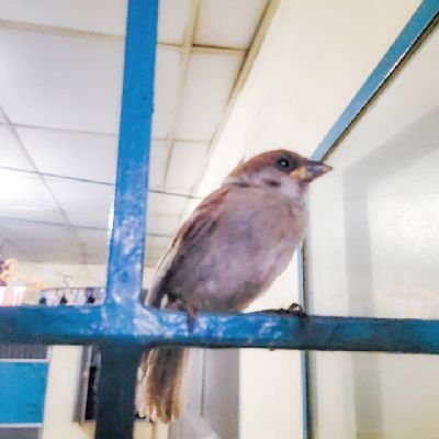 HanzKhalil's profile picture. Instagram: gollonkhalil