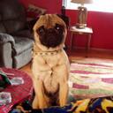 Melody Tull - @Laughlinlady - Twitter