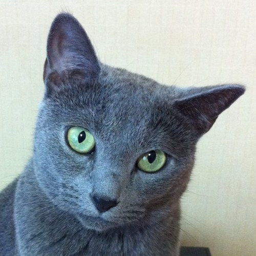 woosung_jung's profile picture. 