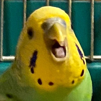 お山の情報とどうでもいいこと