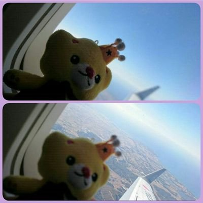 *神谷浩史さんが大好き、成人済(腐)
浮上多め・好きなことつらつら喋ります*
Kiramune、紫/KinKiKids/📻DGS・おしゃ5・ラジレン/ハイキュー!!
参加🔜camp岩手 KAmiYU2day