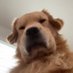 mimi (@puppymini123) Twitter profile photo mimi (@puppymini123) Twitter profile photo