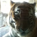 Quinten Smith - @QuittySmitty - Twitter