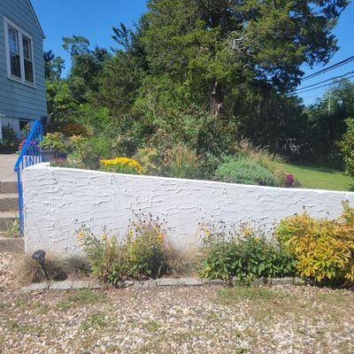 downstateny1's profile picture. Someone whose curiosity and fairness makes me want to know the truth about things.