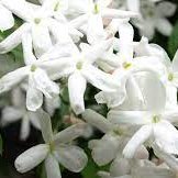 China (@carobtt) 's Twitter Profile Photo