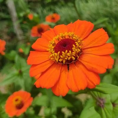 mariselaballest's profile picture. 