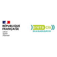 Service public de formation des adultes et CFA, le GRETA de la Guadeloupe regroupe en 2019  3 structures historiques du territoire, cumulant 40 ans d'expérience