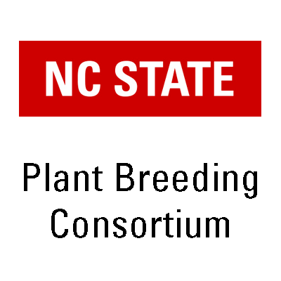 The NC State Plant Breeding Consortium is an interdepartmental effort that focuses on a full range of research programs, courses, and crops.